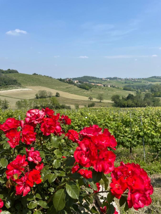 Ozzano Monferrato Dimora Storica La Corte Delle 4 Stagioni מראה חיצוני תמונה